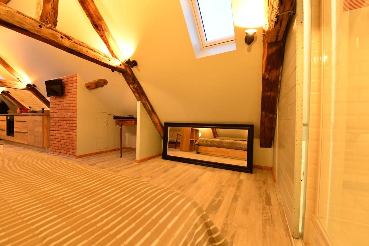 Loft Sous Les Combles - Loft Under The Rafter Διαμέρισμα Ροντέζ Εξωτερικό φωτογραφία